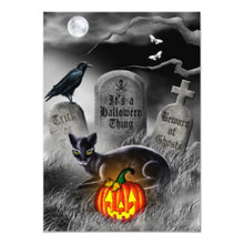 Halloween Black Cat With Jack O Lantern Gravestone Invitation